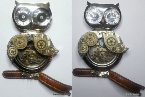 Owl